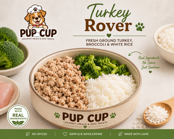 Turkey Rover