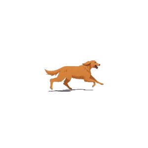 Running Dog